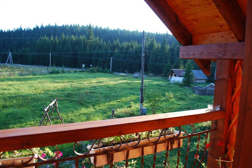 Cottage 12 Months Vorokhta Dış mekan fotoğraf